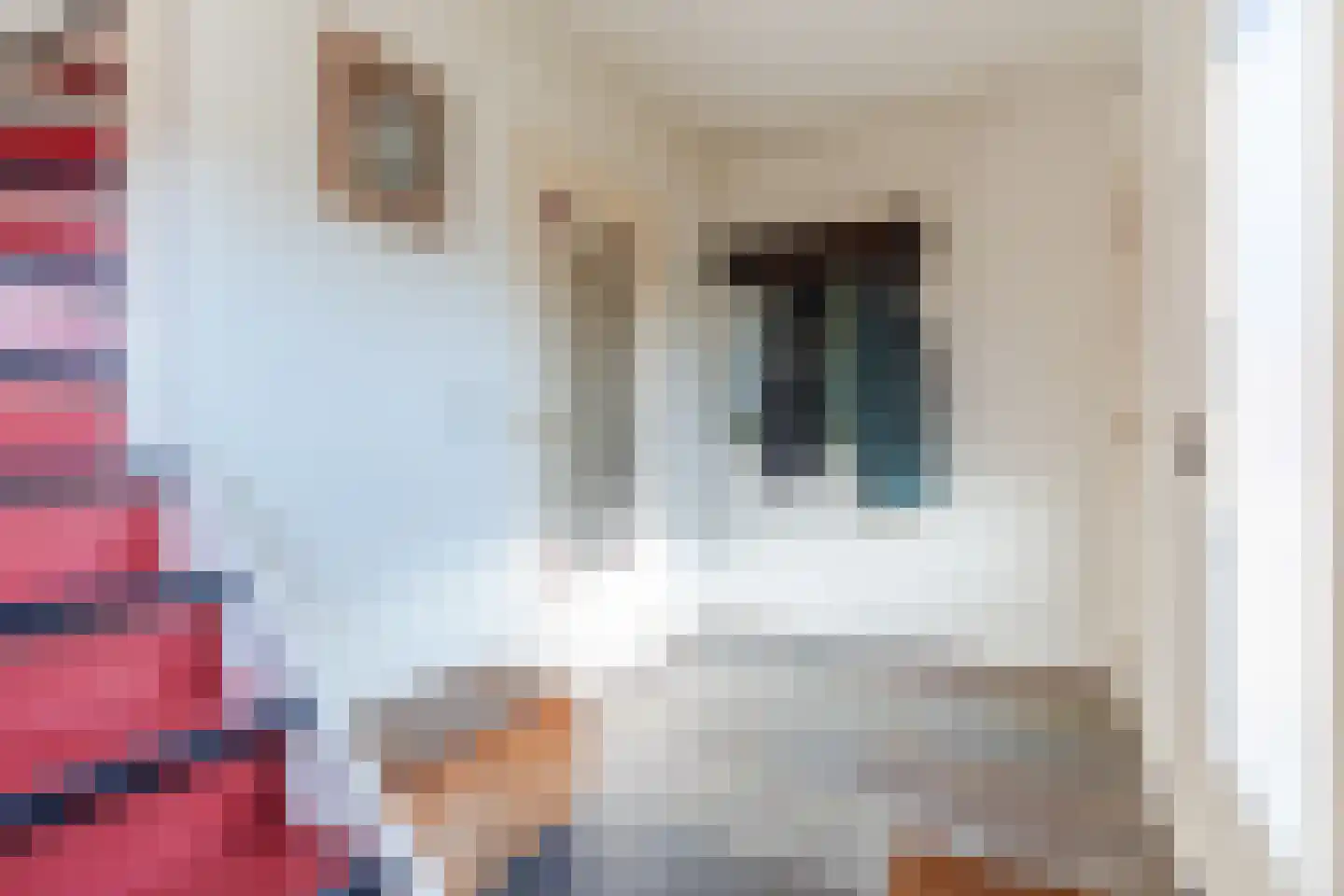 Weebosch 16 Bergeijk thumbnail 22