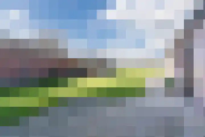Weebosch 16 Bergeijk thumbnail 38