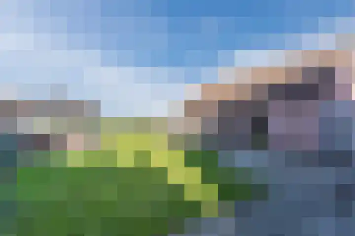 Weebosch 16 Bergeijk thumbnail 39