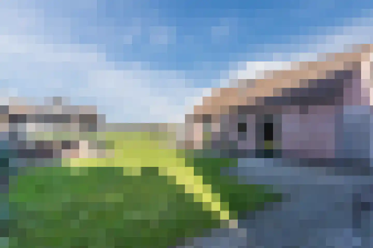 Weebosch 16 Bergeijk thumbnail 39