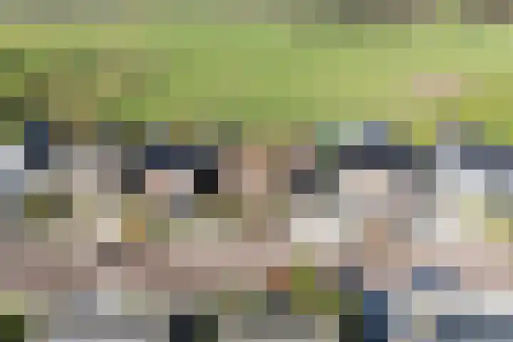 Weebosch 16 Bergeijk thumbnail 4
