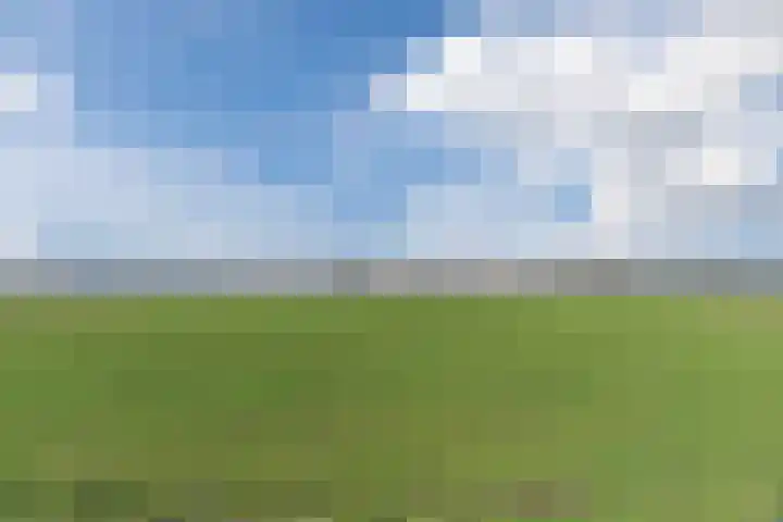 Weebosch 16 Bergeijk thumbnail 40