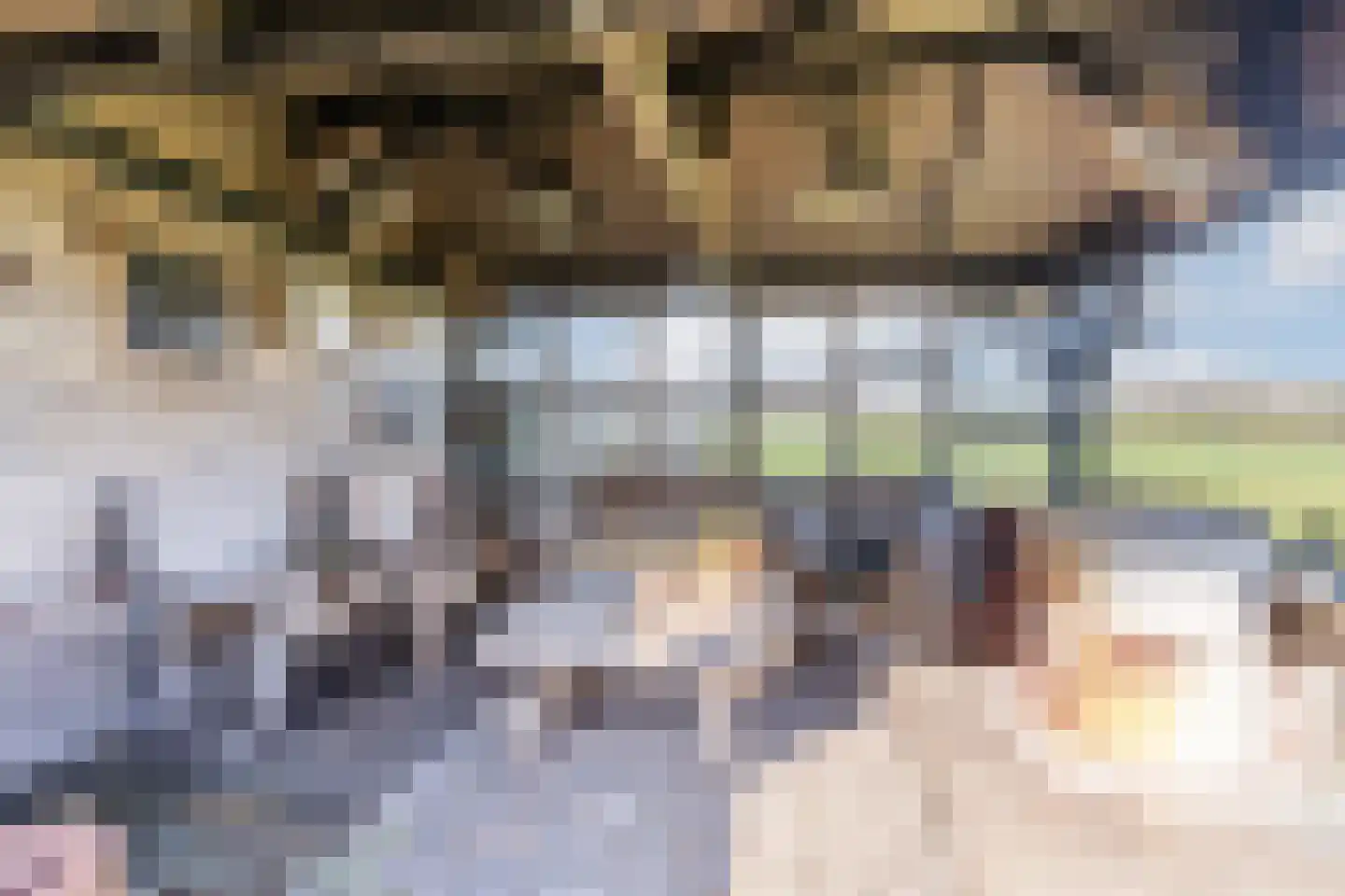 Weebosch 16 Bergeijk thumbnail 41