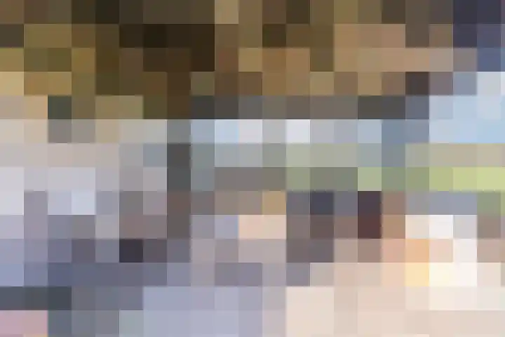 Weebosch 16 Bergeijk thumbnail 41