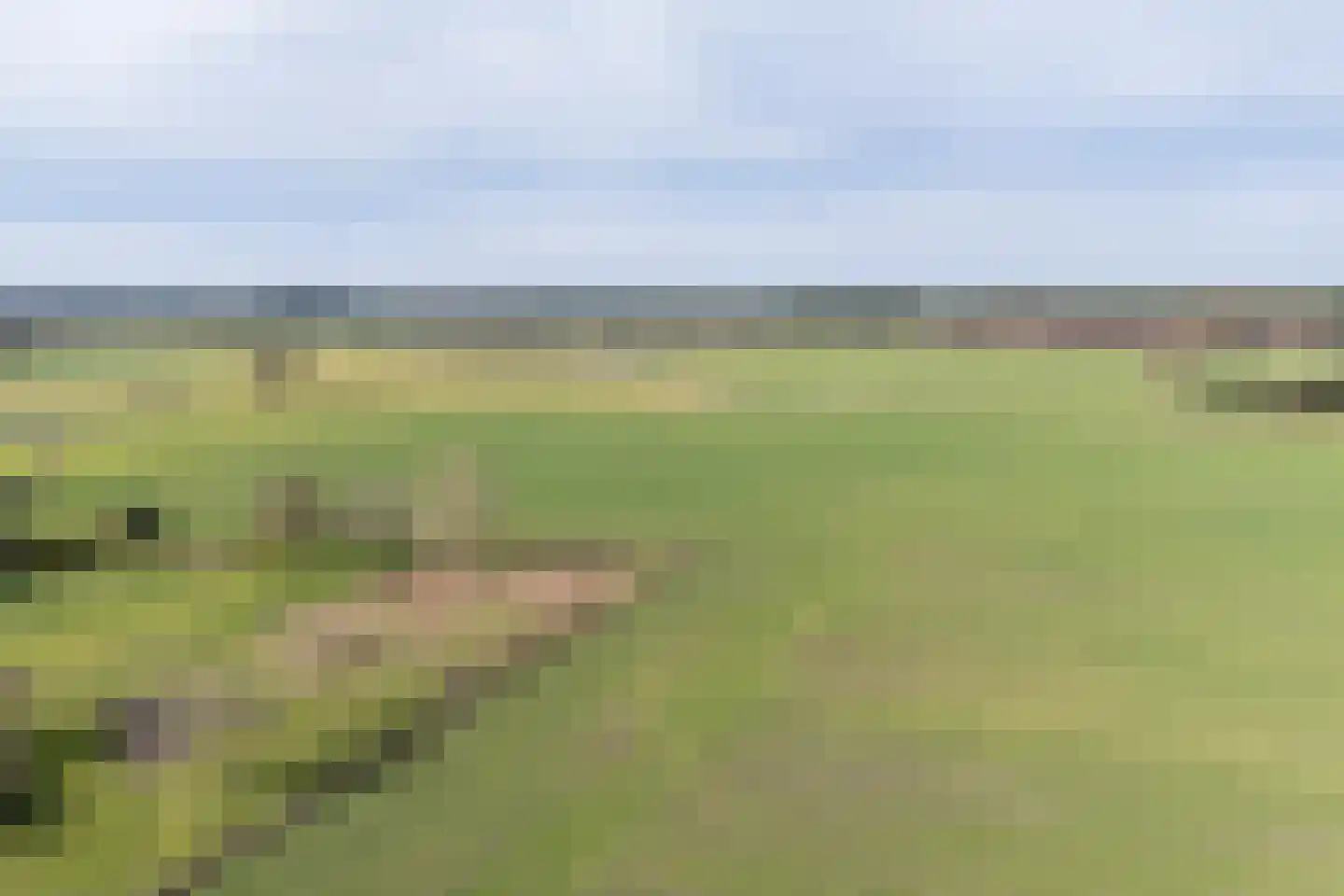 Weebosch 16 Bergeijk thumbnail 44