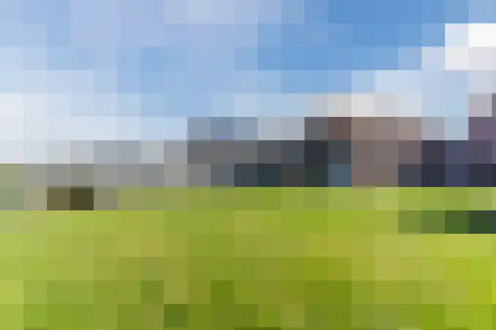 Weebosch 16 Bergeijk thumbnail 45