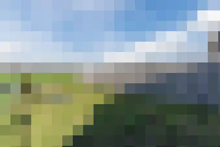 Weebosch 16 Bergeijk thumbnail 47