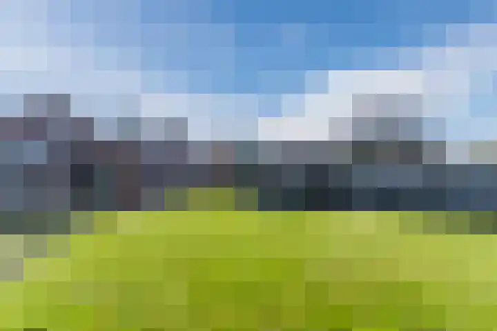Weebosch 16 Bergeijk thumbnail 48