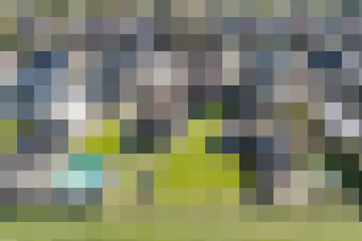 Weebosch 16 Bergeijk thumbnail 54