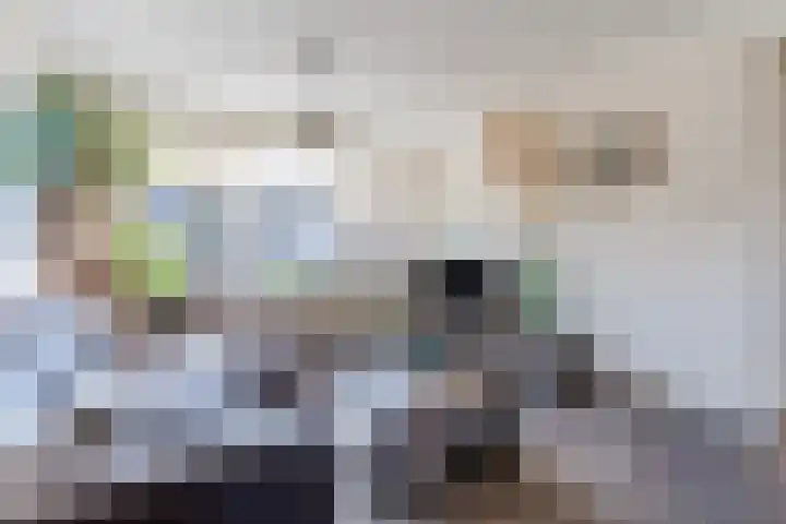 Weebosch 16 Bergeijk thumbnail 8