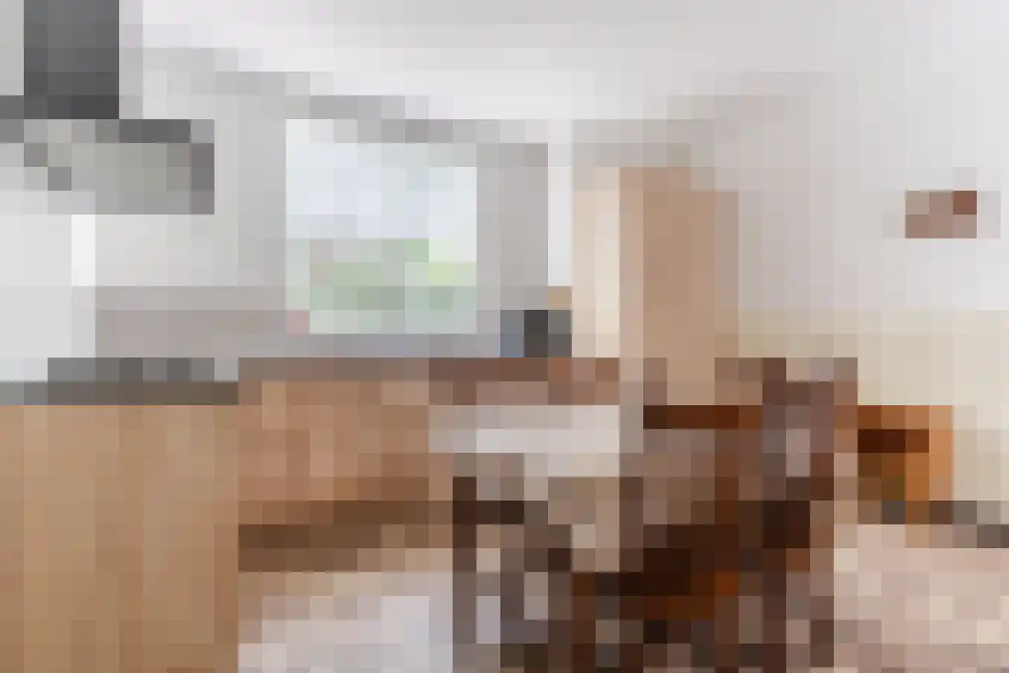 Weebosch 52 Bergeijk thumbnail 12