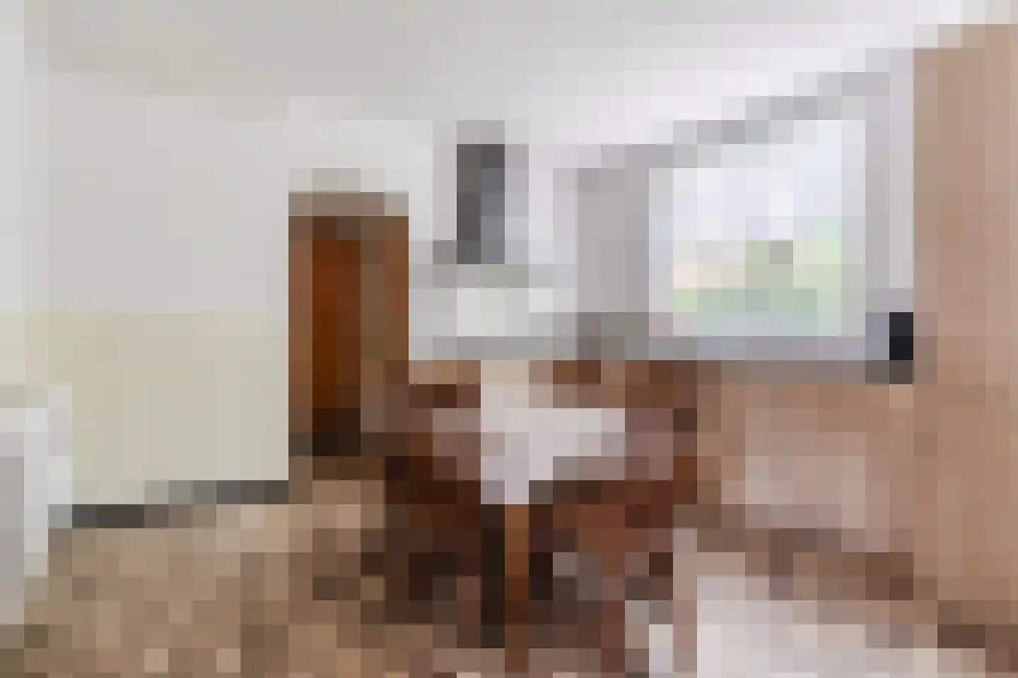 Weebosch 52 Bergeijk thumbnail 13