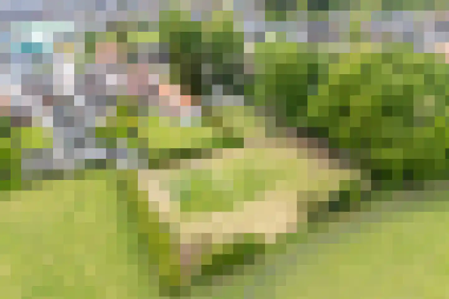 Weebosch 52 Bergeijk thumbnail 27