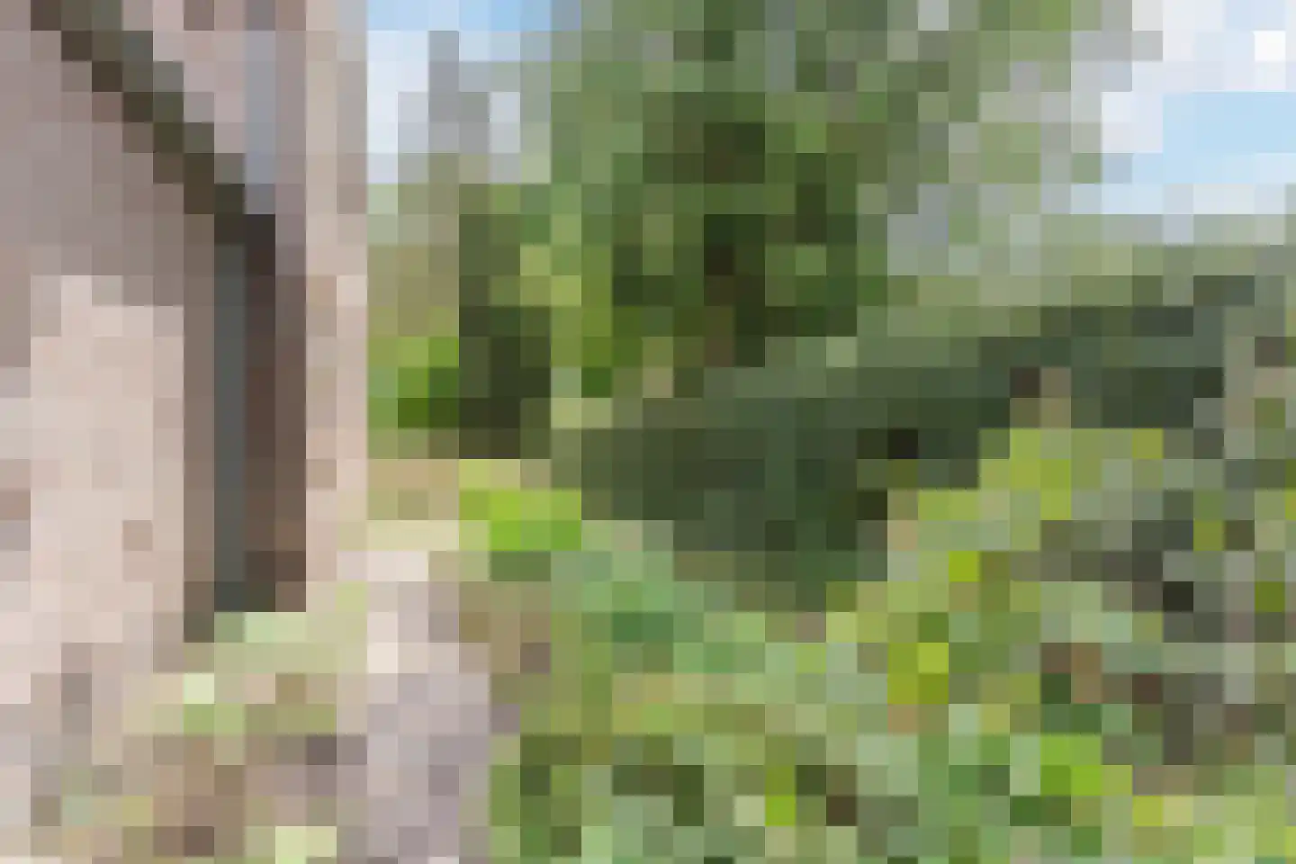 Weebosch 52 Bergeijk thumbnail 30