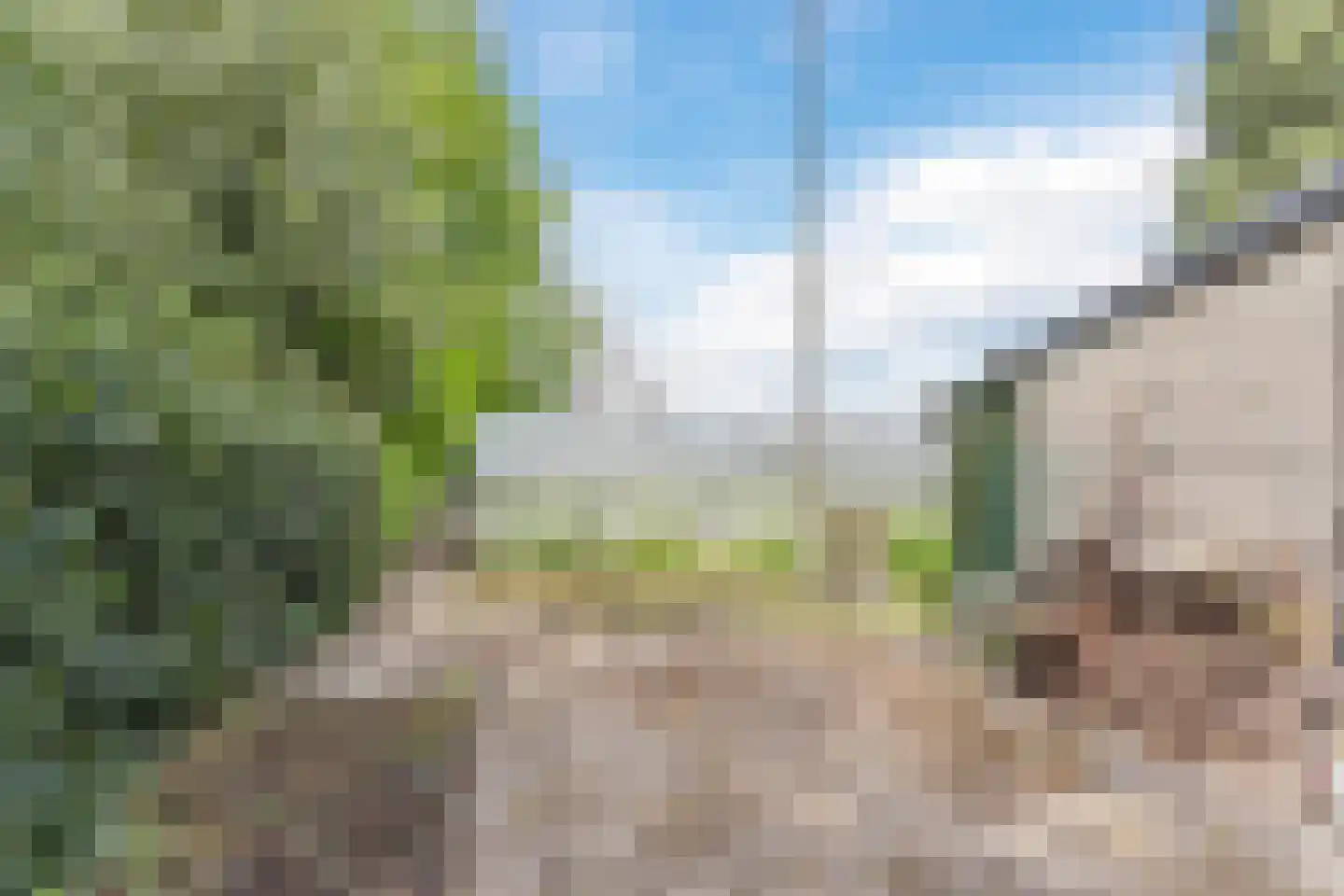 Weebosch 52 Bergeijk thumbnail 31