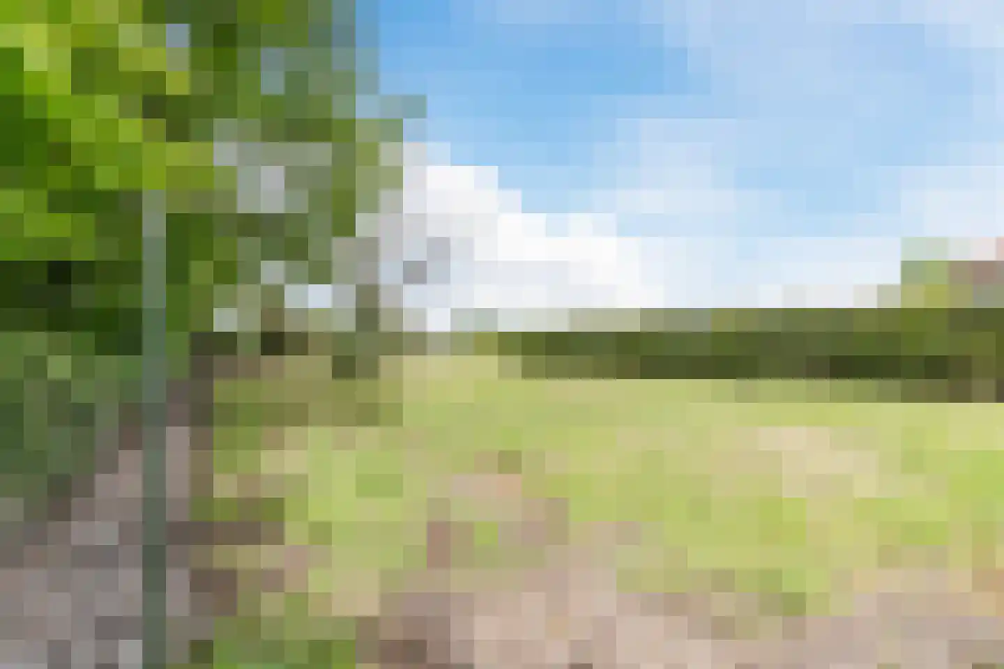 Weebosch 52 Bergeijk thumbnail 32