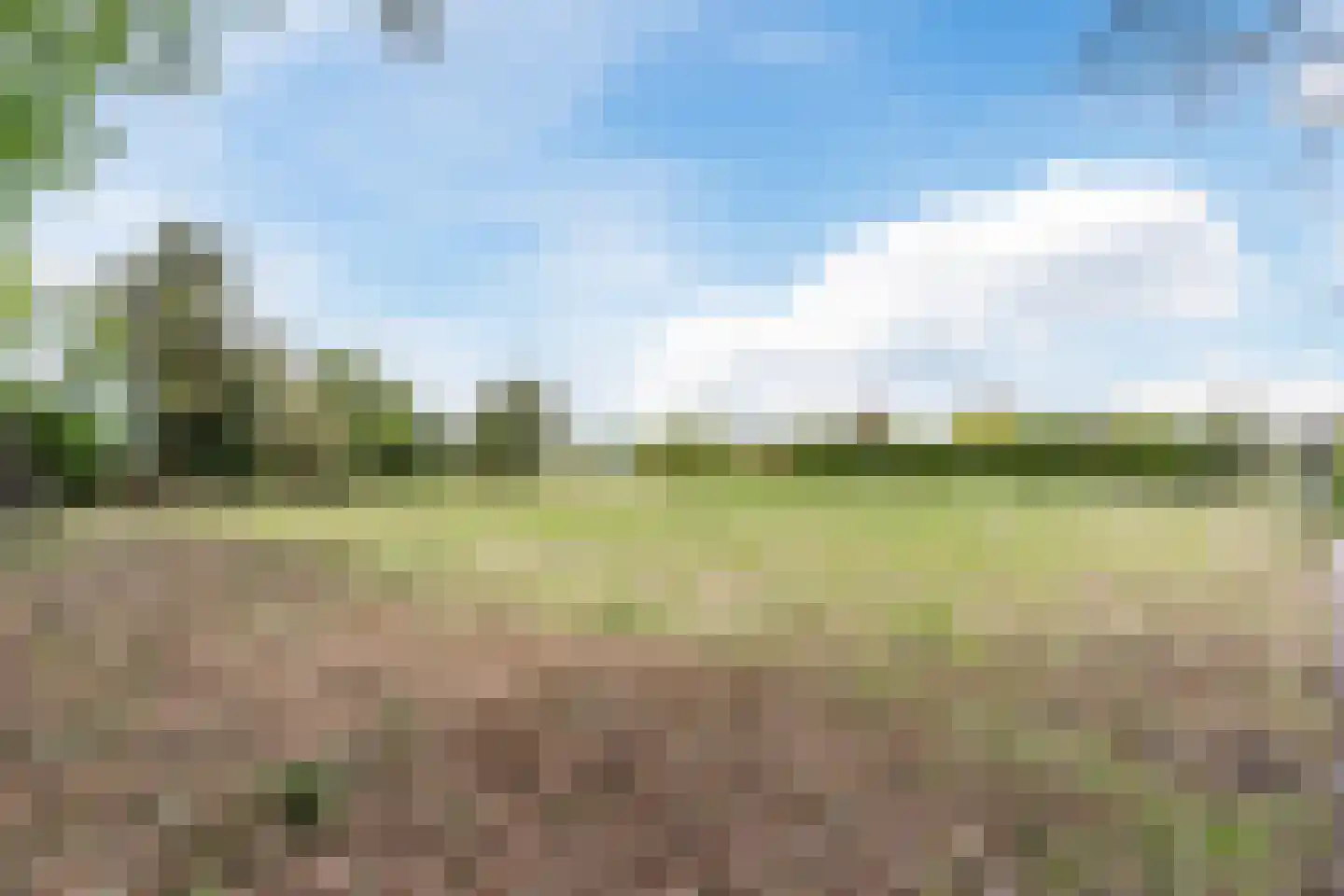 Weebosch 52 Bergeijk thumbnail 34