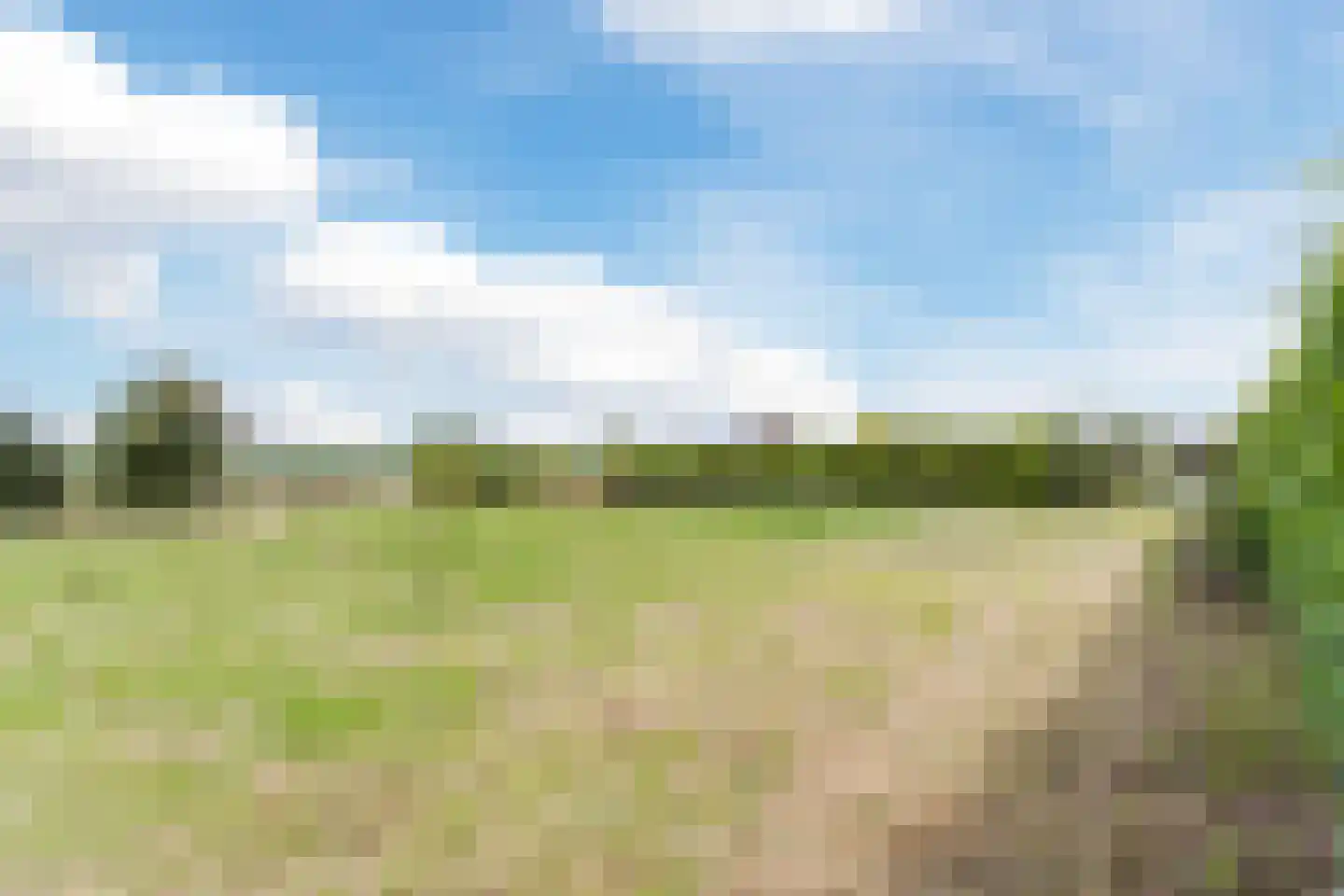 Weebosch 52 Bergeijk thumbnail 35