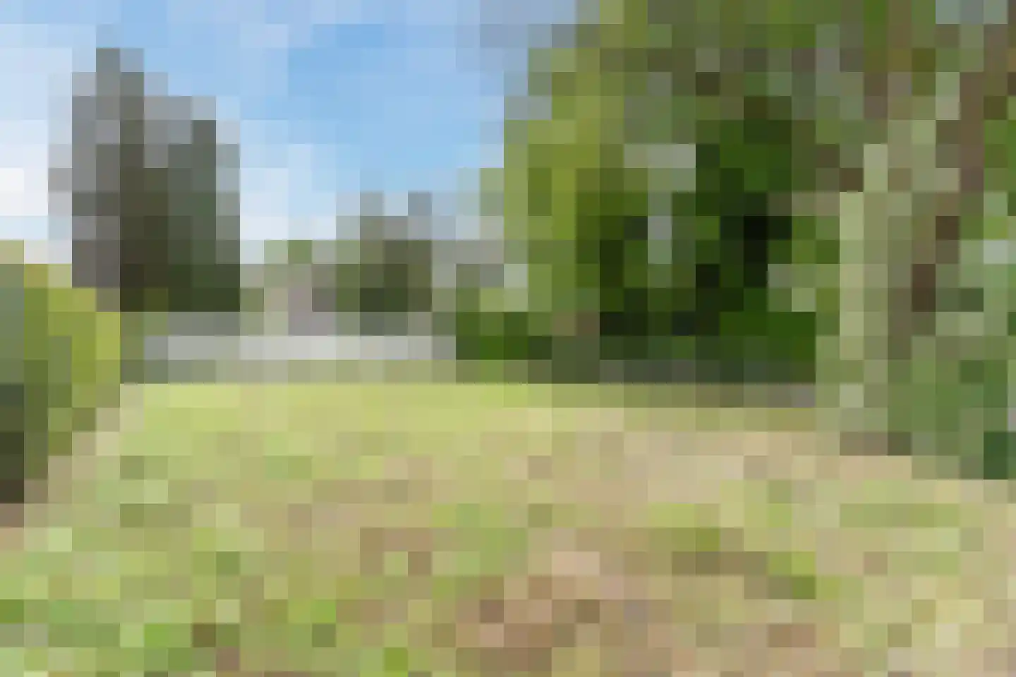 Weebosch 52 Bergeijk thumbnail 36