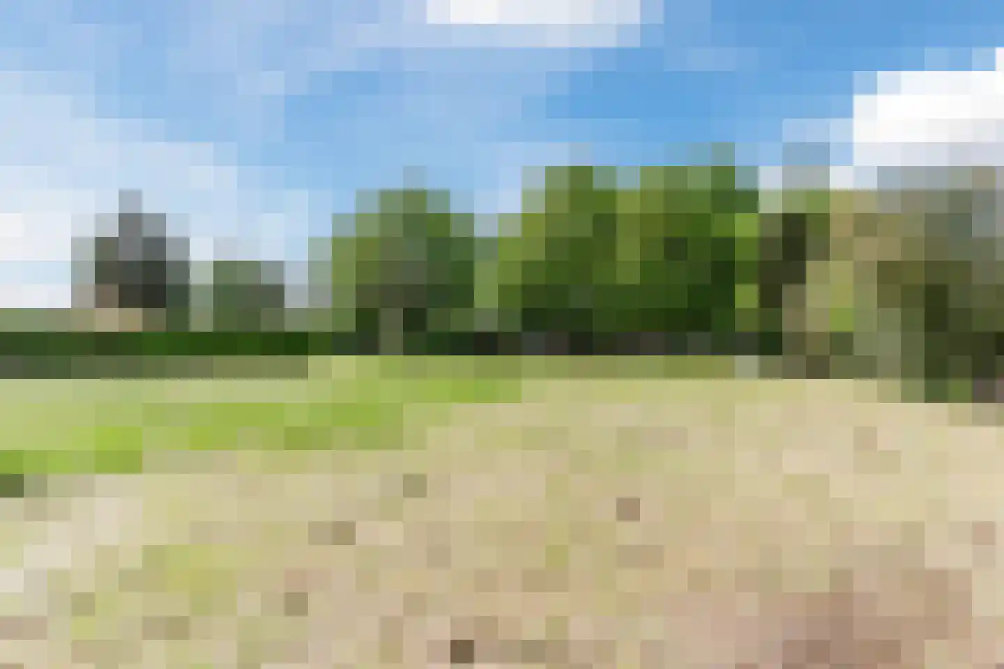 Weebosch 52 Bergeijk thumbnail 37