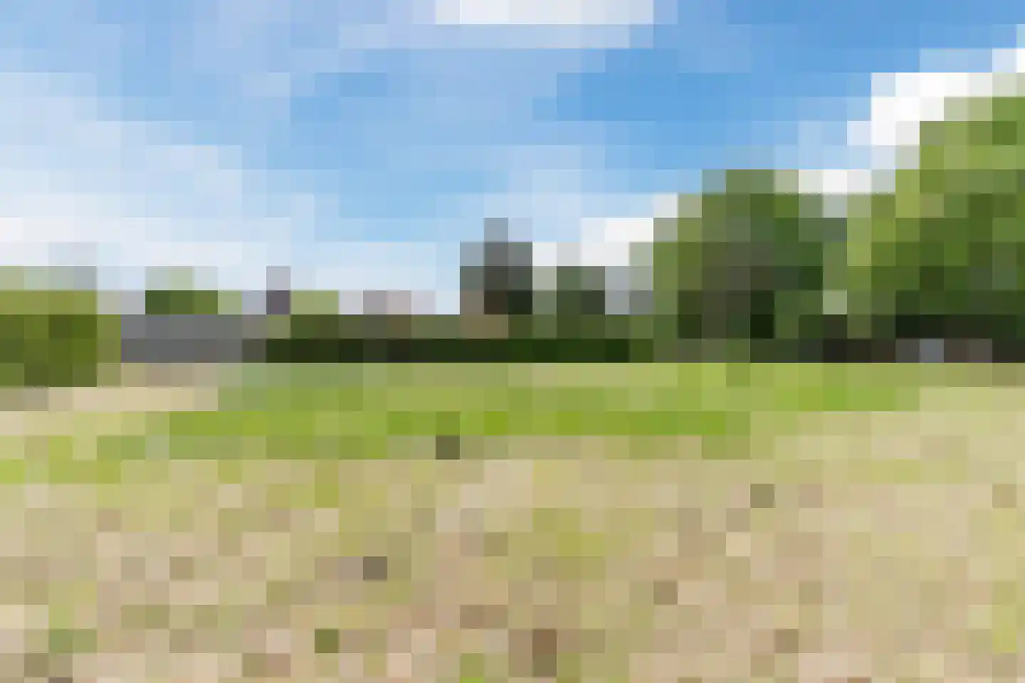 Weebosch 52 Bergeijk thumbnail 38