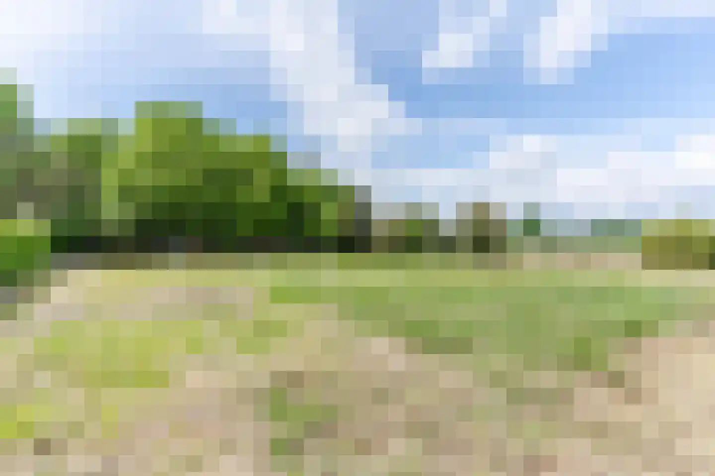 Weebosch 52 Bergeijk thumbnail 39