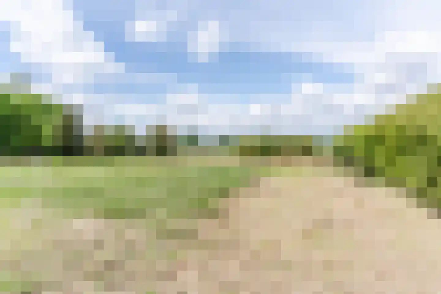 Weebosch 52 Bergeijk thumbnail 40