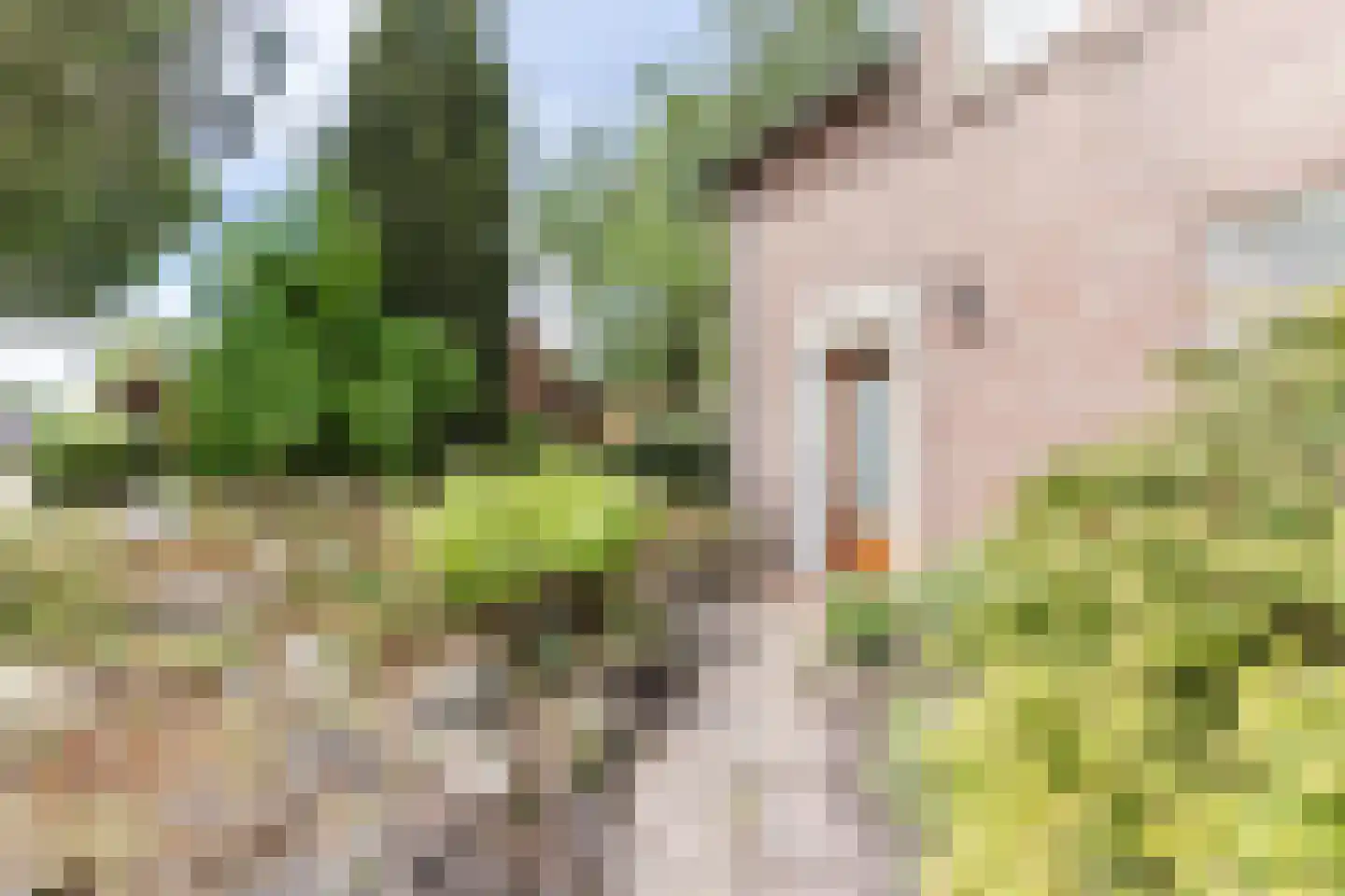 Weebosch 52 Bergeijk thumbnail 5
