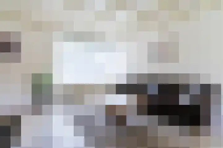 Weebosch 87 Bergeijk thumbnail 10