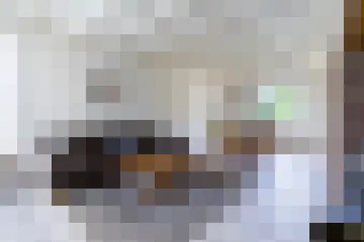 Weebosch 87 Bergeijk thumbnail 11