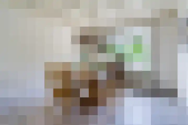 Weebosch 87 Bergeijk thumbnail 12