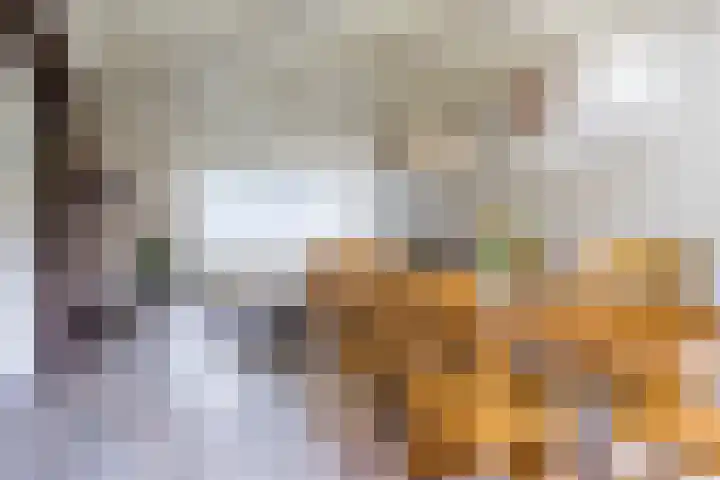 Weebosch 87 Bergeijk thumbnail 13
