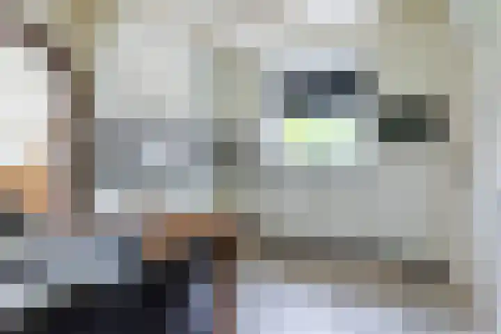 Weebosch 87 Bergeijk thumbnail 14