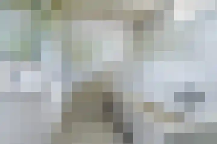 Weebosch 87 Bergeijk thumbnail 30