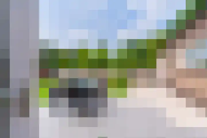 Weebosch 87 Bergeijk thumbnail 31