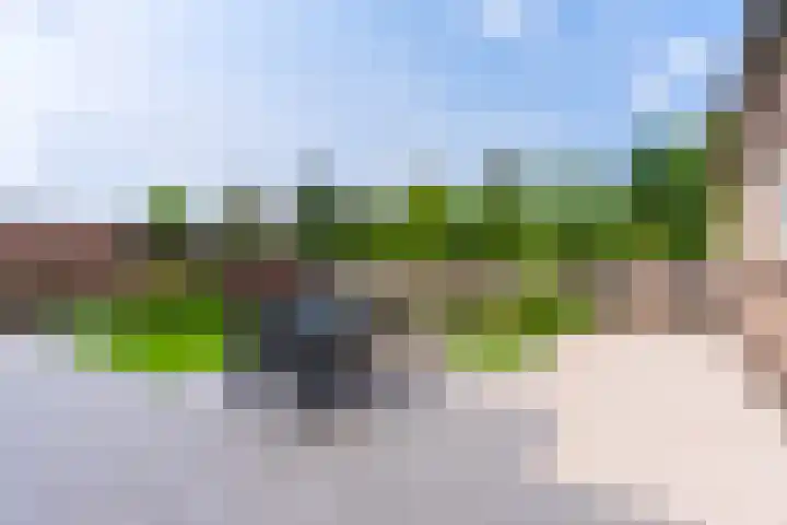 Weebosch 87 Bergeijk thumbnail 32