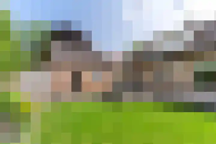 Weebosch 87 Bergeijk thumbnail 35