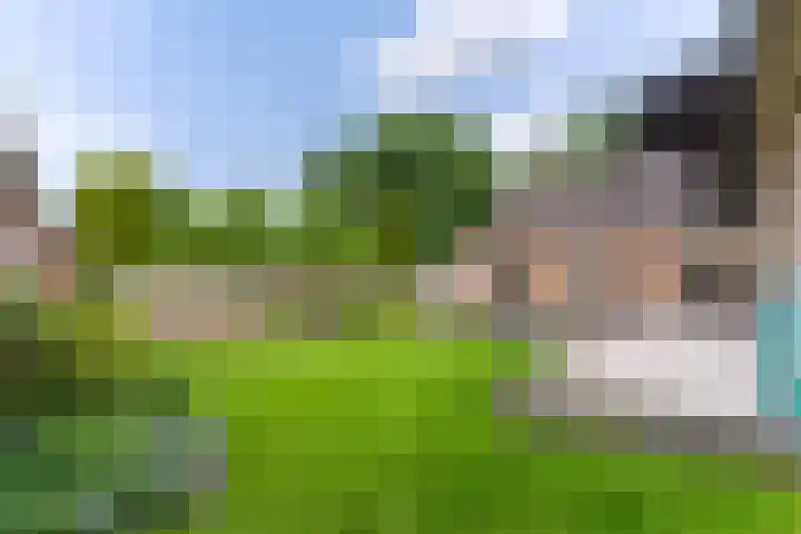 Weebosch 87 Bergeijk thumbnail 36