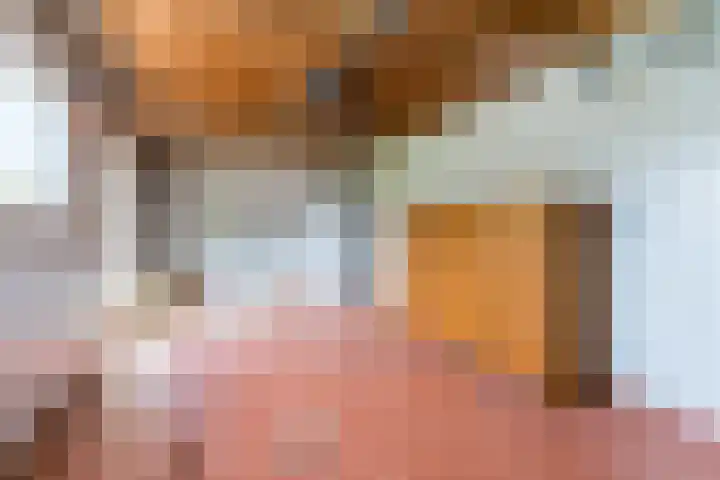 Weebosch 87 Bergeijk thumbnail 39