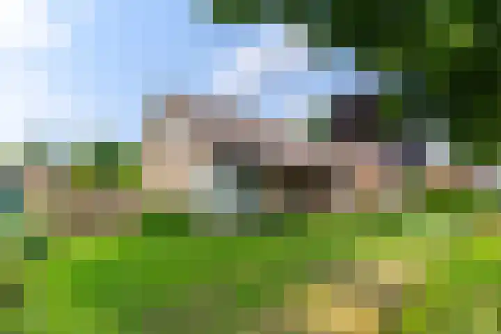 Weebosch 87 Bergeijk thumbnail 4