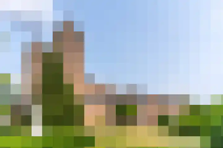 Weebosch 87 Bergeijk thumbnail 43