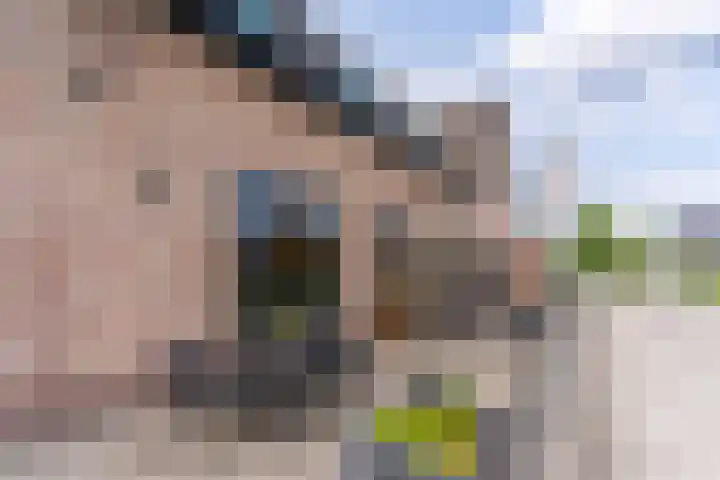 Weebosch 87 Bergeijk thumbnail 44