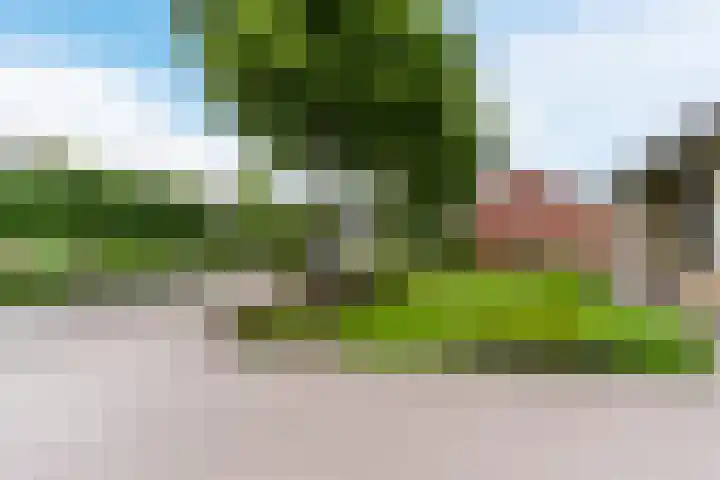 Weebosch 87 Bergeijk thumbnail 5