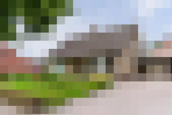 Weebosch 87 Bergeijk thumbnail 50