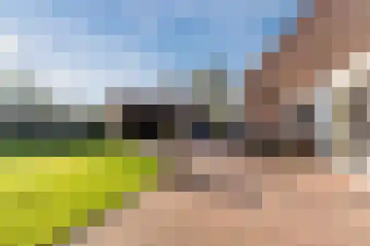 Weebosch 94 Bergeijk thumbnail 37