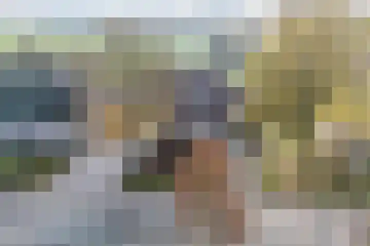 Weebosch 94 Bergeijk thumbnail 4