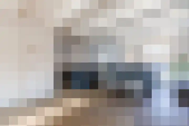 Weebosch 94 Bergeijk thumbnail 6