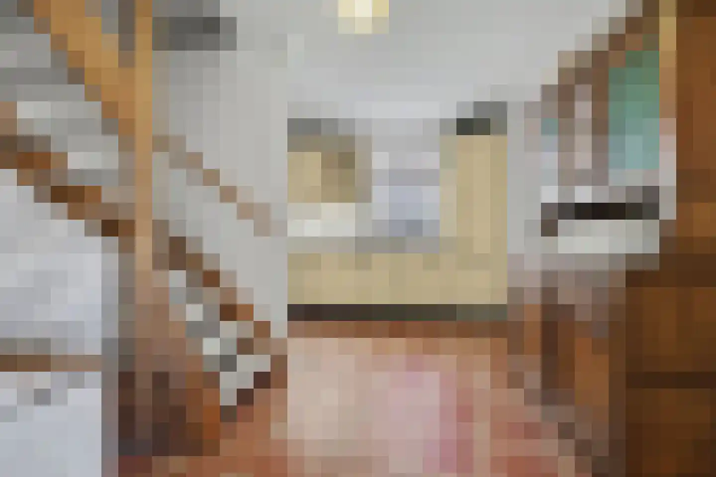 Weebosserweg 12 Bergeijk thumbnail 15