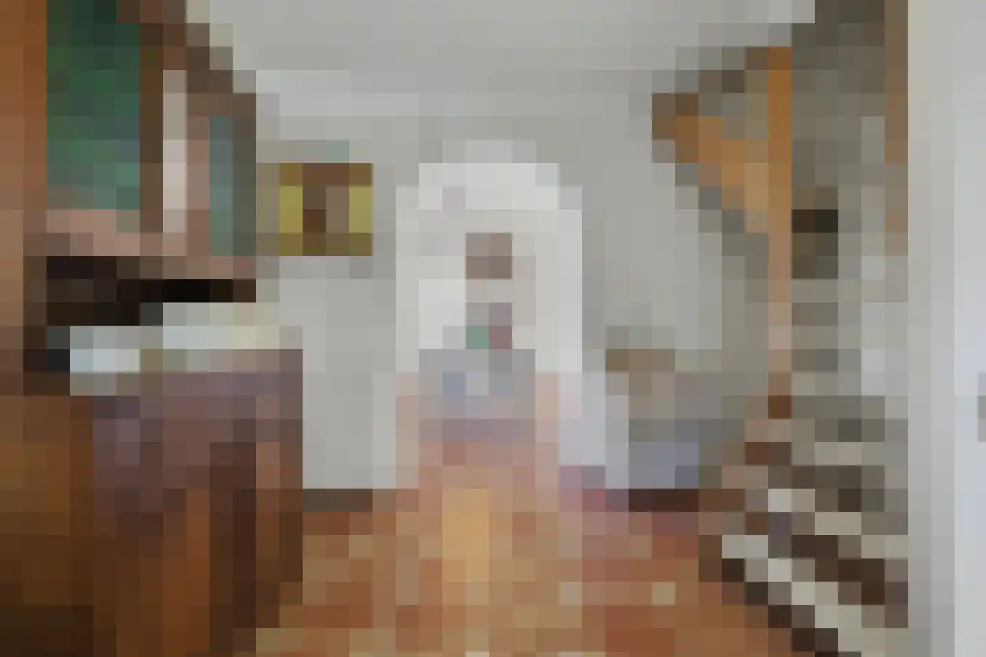 Weebosserweg 12 Bergeijk thumbnail 20