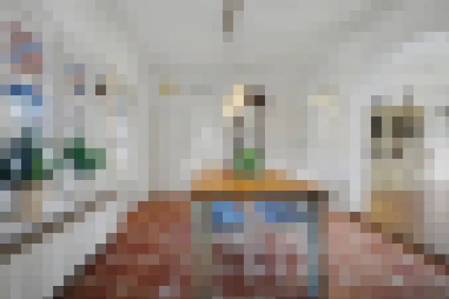 Weebosserweg 12 Bergeijk thumbnail 22